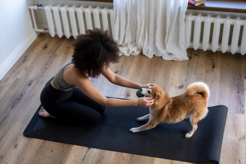 The Importance of Pets In Our Lives