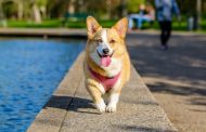 A Step-By-Step Guide to Choosing an Independent Senior Living Residence