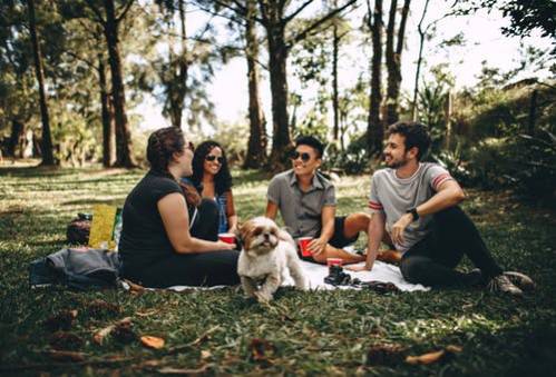Dog’s Separation Anxiety: How Can Doggy Day Care Help?