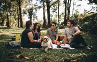 Dog’s Separation Anxiety: How Can Doggy Day Care Help?