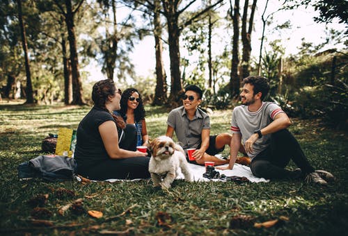 Dog’s Separation Anxiety: How Can Doggy Day Care Help?