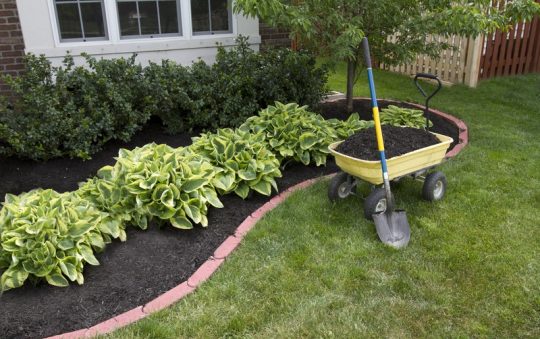 What Are Eco-Friendly Landscaping Tips for Environmentally Conscious Homes?