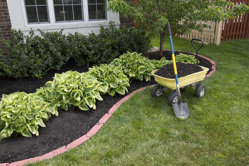 What Are Eco-Friendly Landscaping Tips for Environmentally Conscious Homes?